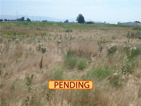 PENDING - Meridian Land